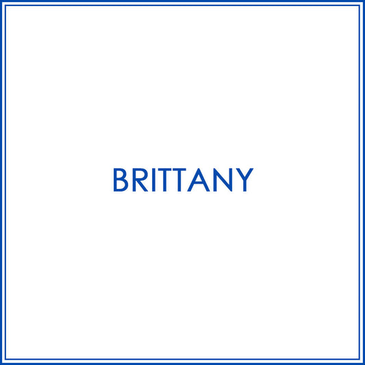 BlueJose Darts Custom Shirt For Brittany