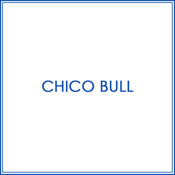 BlueJose Billiards Shirt For Chico Bull