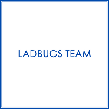 BlueJose Billiards Custom Shirt For Ladybugs Team